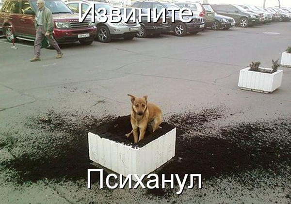 Я немного ПСИХАНУЛ