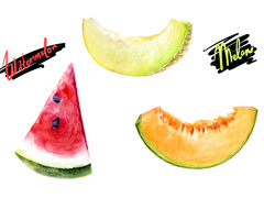 ТОП-10 корисних властивостей дині та кавуна