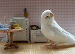 парк