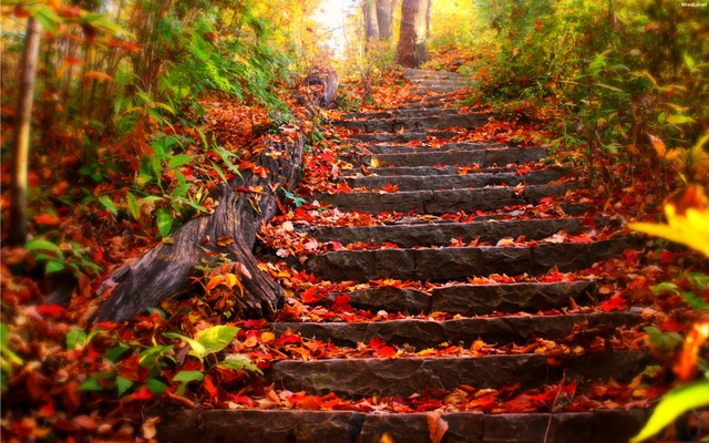 Осення лестница