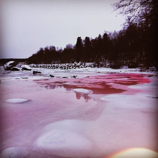 Эстония красная вода
