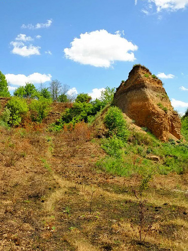 Секрет успіху - пишіть лаконічно