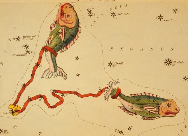 Гороскоп на 2024 рік для Риб на гроші, кохання та здоров'я