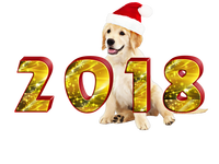 Новогодние обои на год собаки 2018