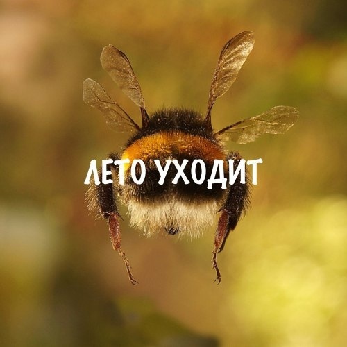 Лето уходит