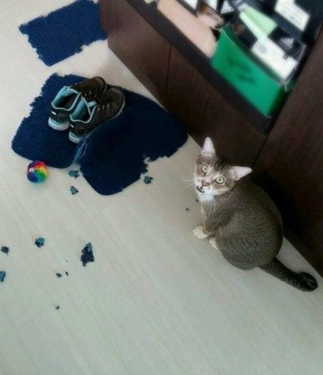 Я просто мимо проходил