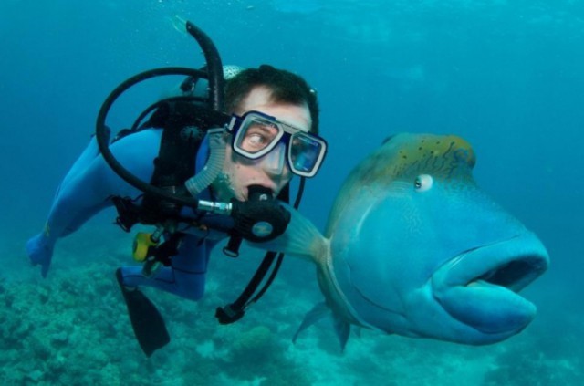 14 крутых снимков. Никакого фотошопа
