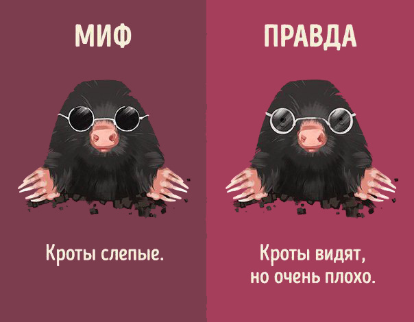 Интересно знать! Мифы и реальность