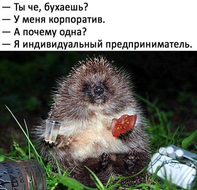 Индивидуальный предприниматель и корпоратив