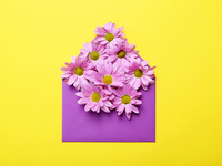 Прикольные обои на 8 марта