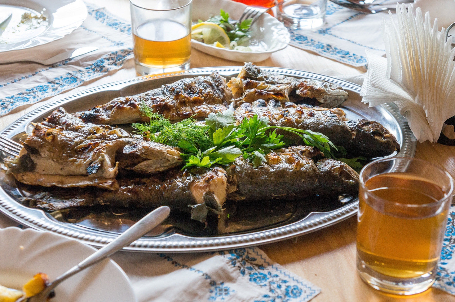 Эко-база "Опака"