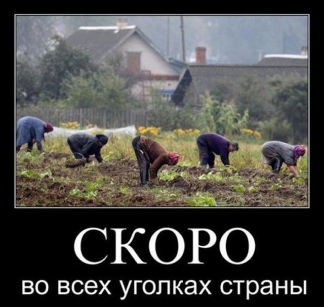 Демотиватор про осень