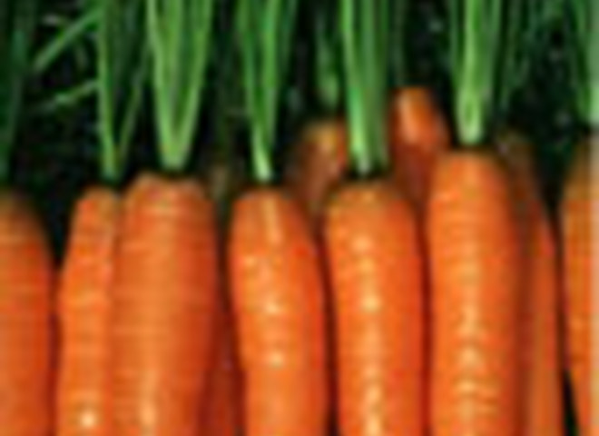 морковь лечит все !!!