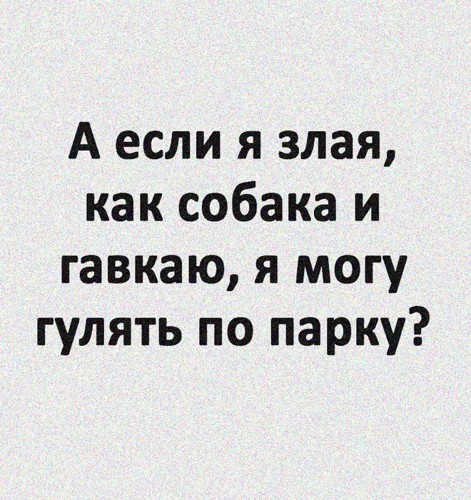 Коронавирус и собаки