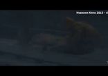 Не угаснет надежда (2013) трейлер
