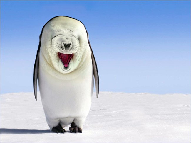 Создания, которых страшно было бы встретить