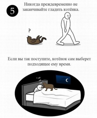 Как ласкать котенка