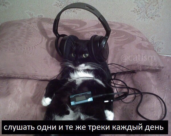 Когда ты мастер: