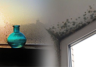 C22eed4dbd6361031723629c369605e4 resize crop 1xquality 100xallow enlarge 0xw 0xh 0