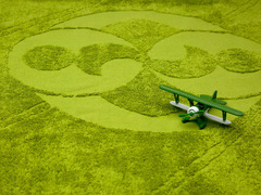 Таємничі кола на рушниках