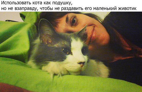 Если у вас есть кот, то...