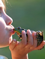 дети и животные