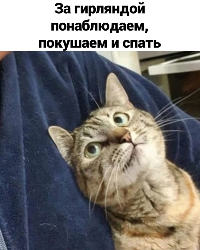Планы на Новый год