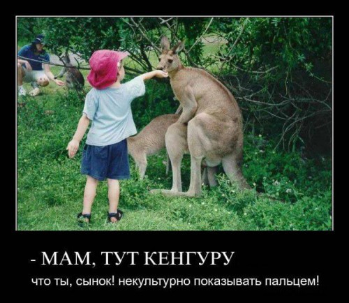 Смешные демотиваторы