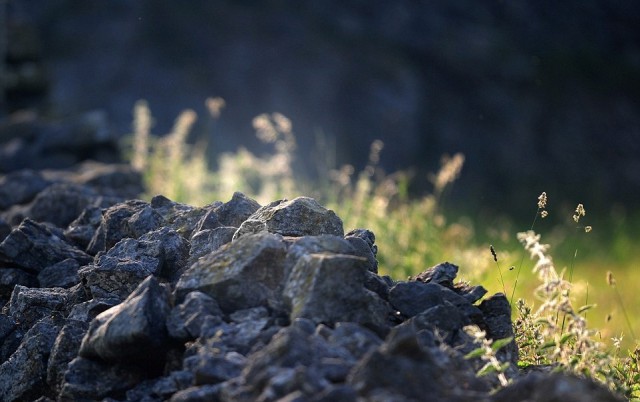 Найди сову. Маскировка: уровень Бог