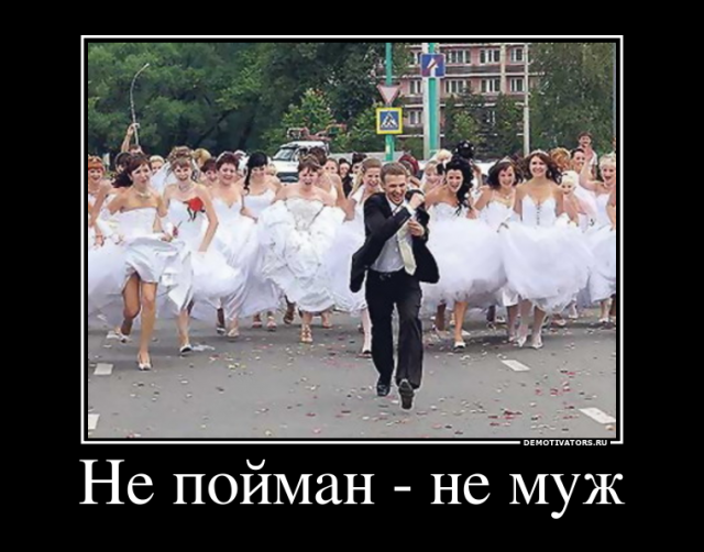 Свадебные демотиваторы