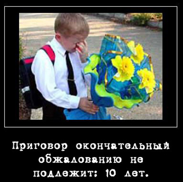 ТОП лучших демотиваторов про 1 сентября
