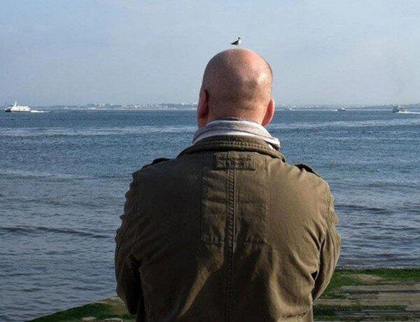 Ах, нет... показалось