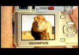 Advertising2006 - Olimpus