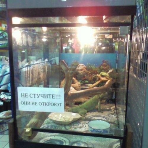 Смешные надписи