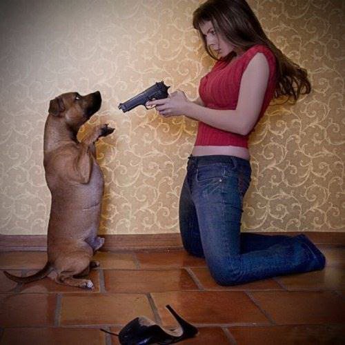 Приколы про девушек и животных