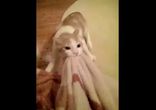- Отдай добро! Ухожу!