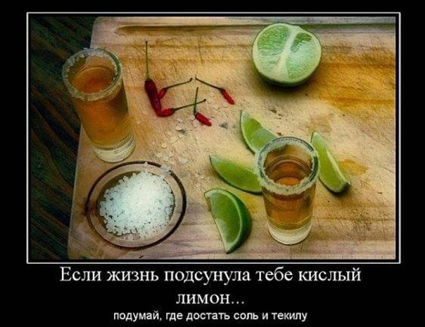 ТОП лучших демотиваторов