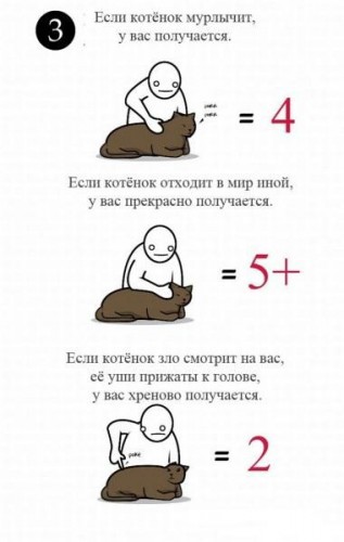 Как ласкать котенка