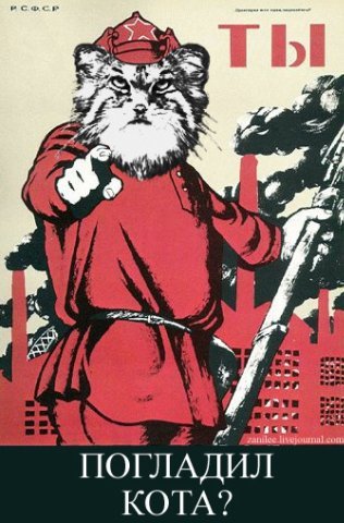 Погладь кота