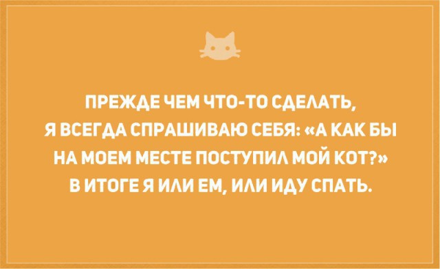 Без кота и жизнь не та