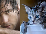 Des Hommes et des Chatons Des Hommes et des Chatons