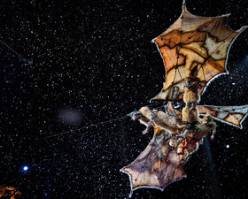 фильм Cirque du Soleil: Сказочный мир в 3D