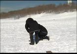 Не простая профессия репортер    