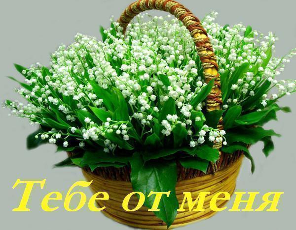Купить открытку с 8 марта и букеты цветов с доставкой в Москве