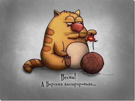 Животный характер