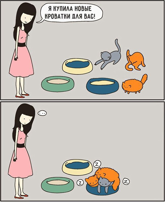 Милые комиксы про котов