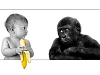 Малыш и обезьяна