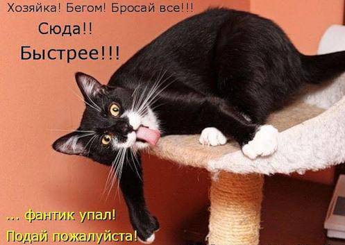 Классные котоматрицы