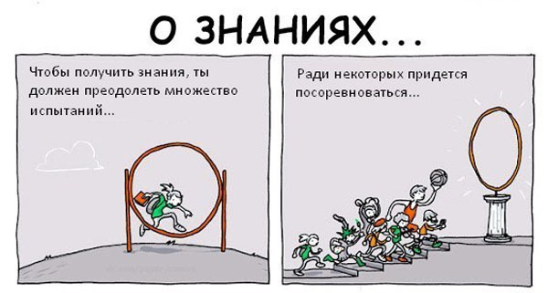 Правдивый комикс о знаниях
