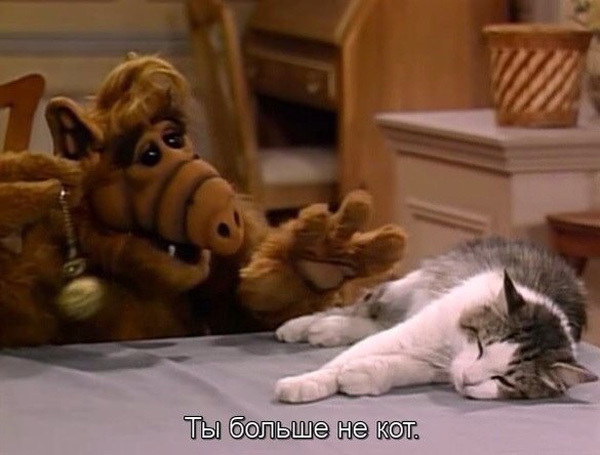 Теперь ты бублик!